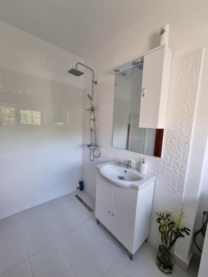 Apartmán Toma Boutique Brašov Exteriér fotografie